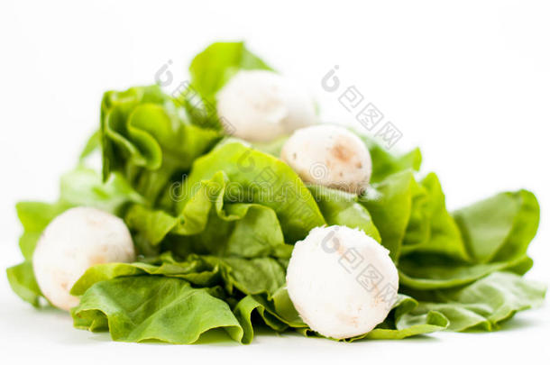 绿色沙拉和蘑菇