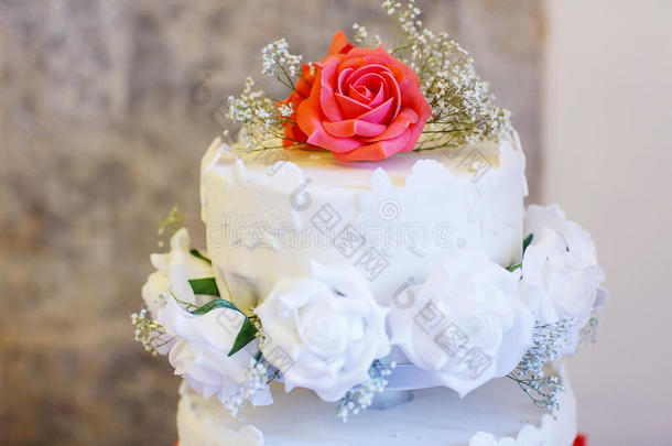 美丽的婚礼蛋糕，不同的颜色，两种不同的LE