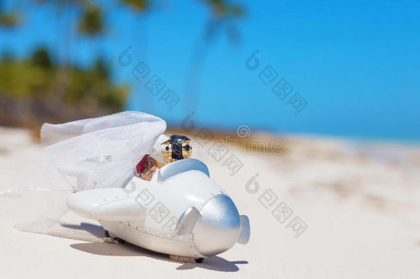 新娘和新郎在海滩上的小婚礼飞机模型