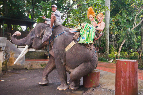 一对夫妇骑着大象旅行