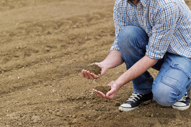 农民检查肥沃农田土壤质量