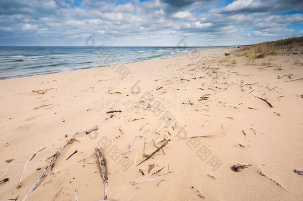 海滩景观。 波罗的海沿岸。