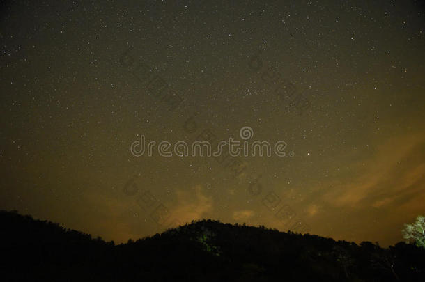 夜空，银河覆盖森林和树木