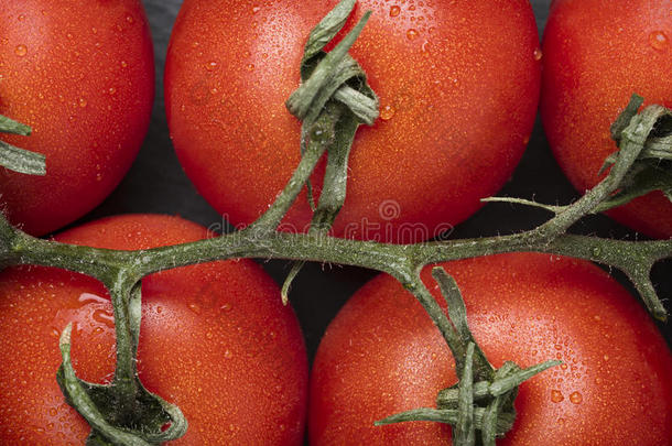 成熟桁架番茄的特写。