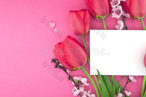 粉红色郁金香和春天的花束在粉红色的背景上