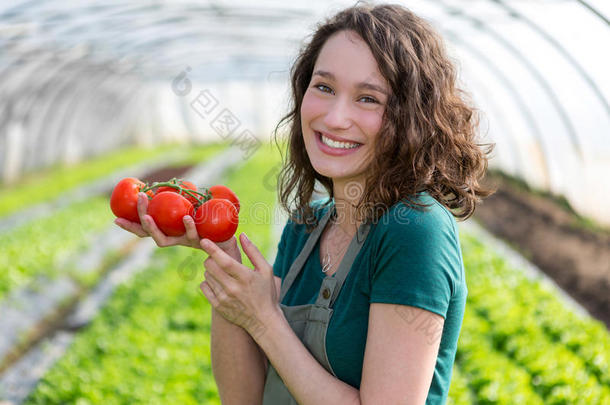 年轻迷人的<strong>农民收割</strong>西红柿