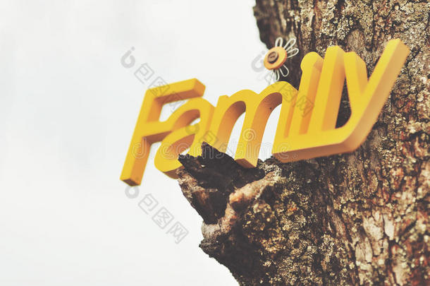 家族词画在黄色挂在树上