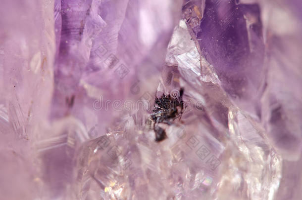 紫晶是紫罗兰色的石英，常用于珠宝中
