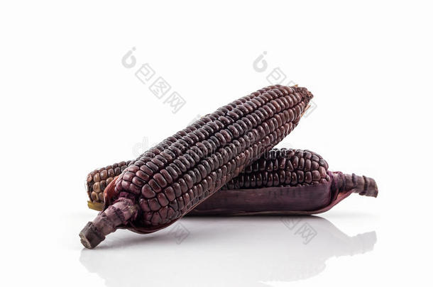 新鲜紫色有机玉米，玉米。