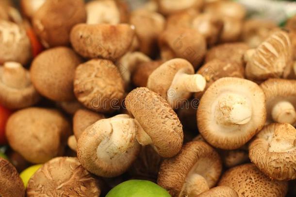市场上新鲜的蘑菇