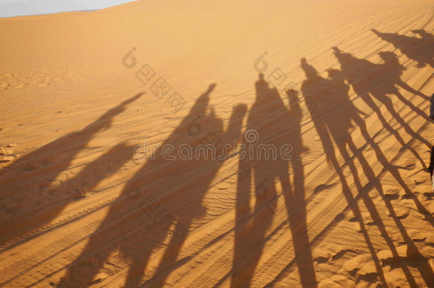 骆驼商队阴影在撒哈拉沙漠