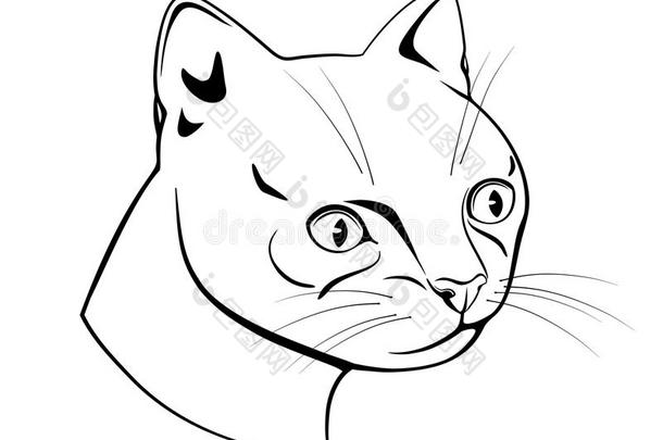 猫头，黑白破折号绘图