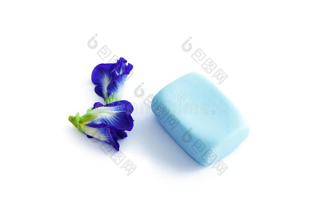 蝴蝶豌豆，蓝色豌豆，科尔多凡豌豆或亚洲鸽子肥皂