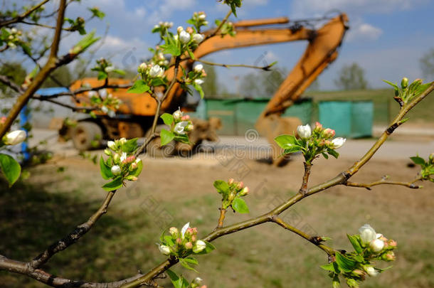 <strong>正在建设中</strong>的开花花园