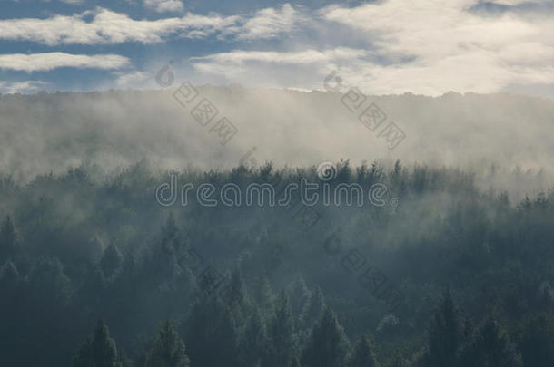 积极的空气飞机秋天背景