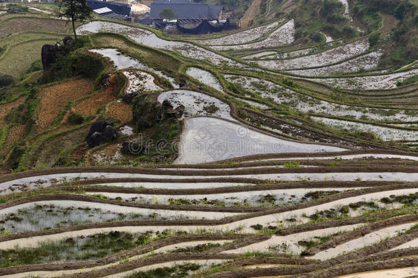 中国<strong>云和梯田</strong>