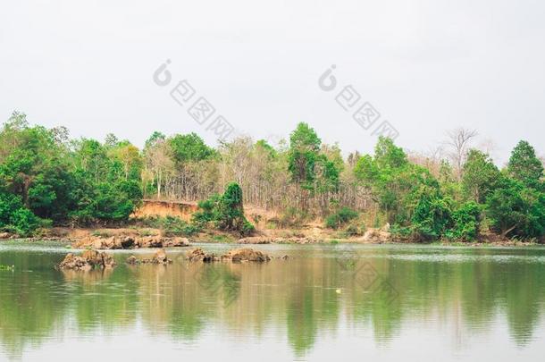 越南湖区的一个小湖，周围是林地