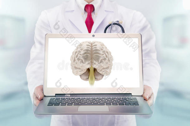 医院里有听诊器的医生。 笔记本电脑显示器上的大脑