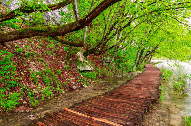 普利特维兹国家公园的木栈道