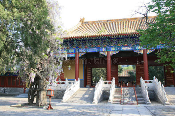 孔子寺-北京-中国（4）