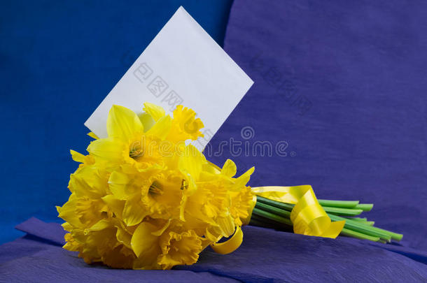 <strong>一桶水</strong>仙花，蓝色紫色背景上的信封