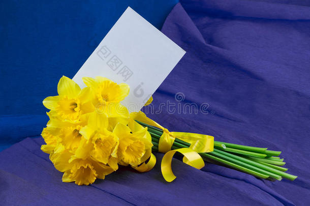 <strong>一桶水</strong>仙花，蓝色紫色背景上的信封