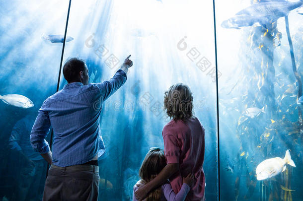 父亲指着一条鱼，而母亲和女儿看着鱼缸