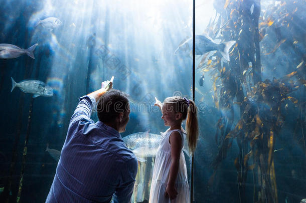 父亲和女儿指着<strong>鱼缸里</strong>的鱼