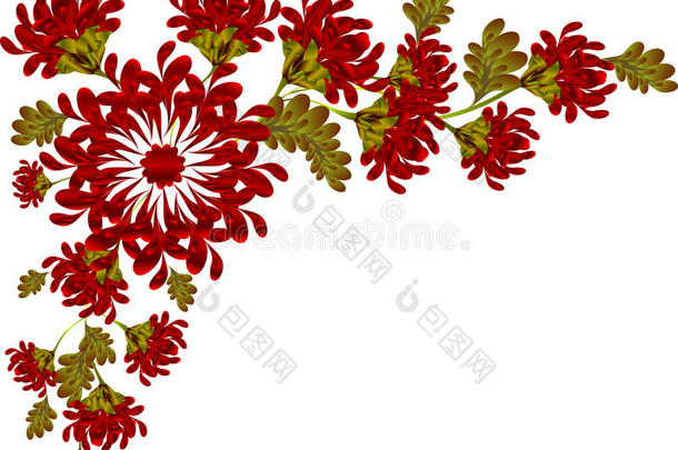 红色花朵和叶子的边界