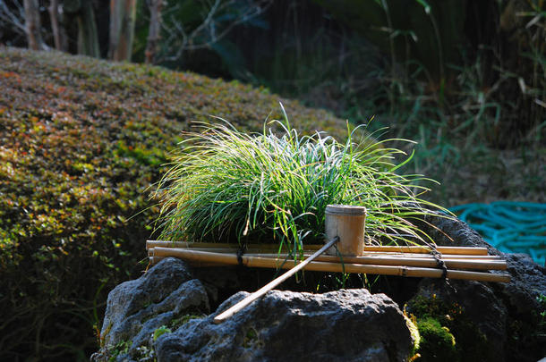 竹水日本花园