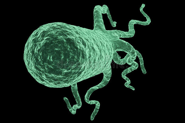 芽孢杆菌细菌细菌学生物学的生物学