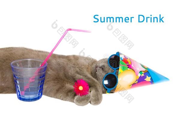 猫喝一杯夏天的饮料
