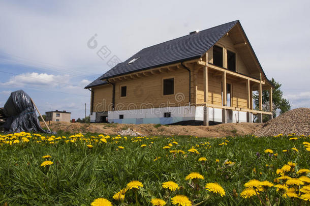 在MEA建造一座木屋和黄色蒲公英