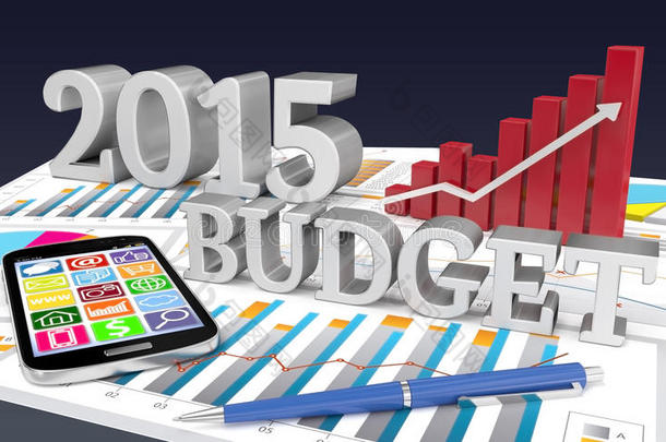 2015年预算用图表