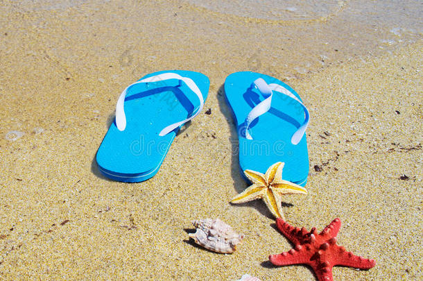 拖鞋和海星在海边