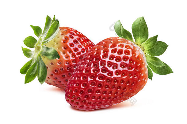 双草莓在白色背景上互相面对