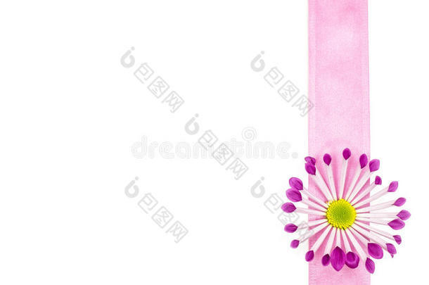 空明信片背景，粉红色的花和粉红色的丝带