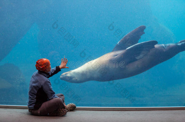 海洋生物