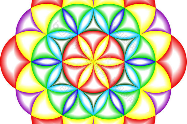 圆圈圈子丰富多彩的彩色的圆规