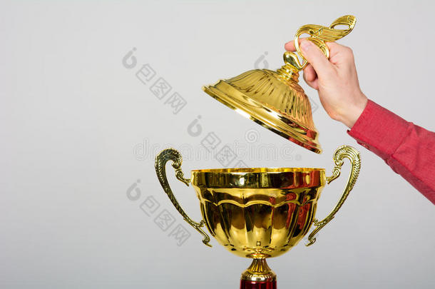 赢得歌曲节的金杯奖杯