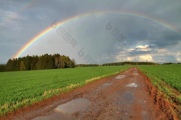 <strong>雨后彩虹</strong>