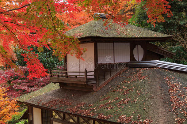 日本神奈川横滨三肯花园秋叶