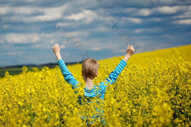 阿克视图。 快乐的微笑男孩在黄色的田野上快乐地跳跃