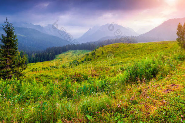 意大利阿尔卑斯山的<strong>缤纷夏日</strong>全景，