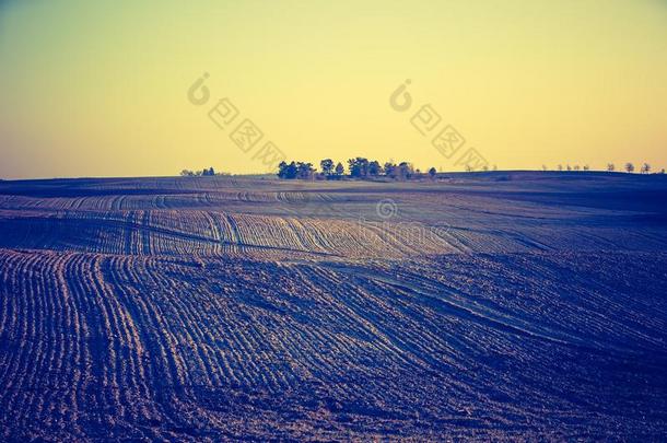 农业的农业秋天蓝色棕色的