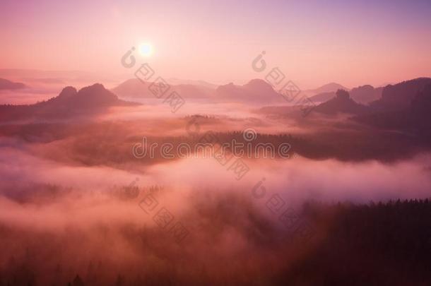 在一个美丽的山丘上，雾蒙蒙的黎明。山峰从雾的背景中突出，雾是黄色和橙色的，<strong>因为</strong>