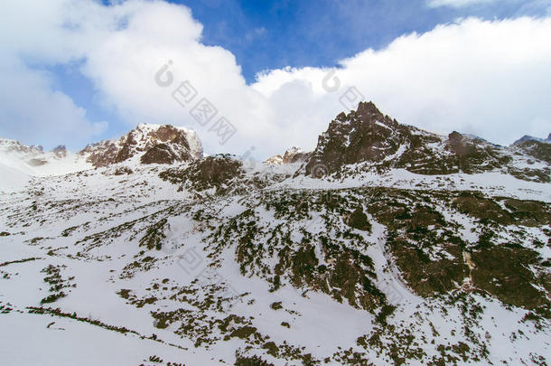 阿尔卑斯山海拔高度和气氛美女