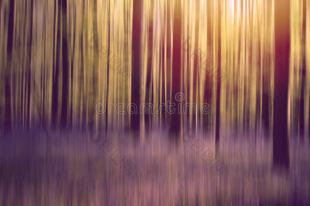抽象森林