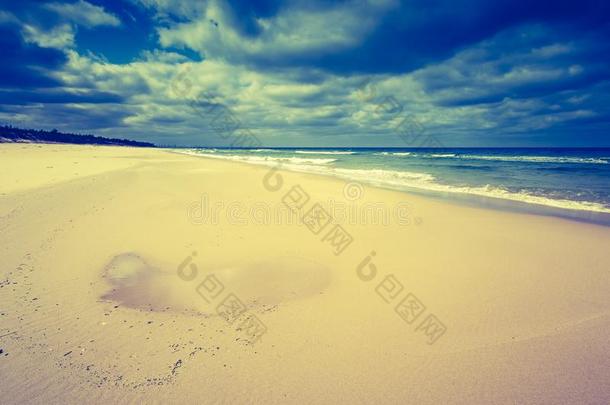 波罗的海海滩美丽的蓝色海岸