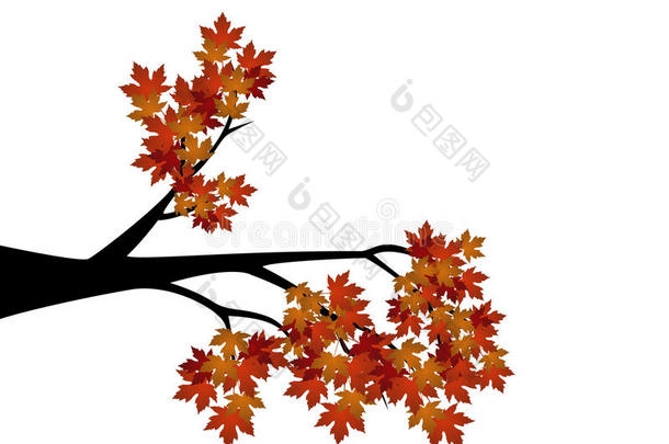 装饰秋天树枝剪影与棕色的叶子